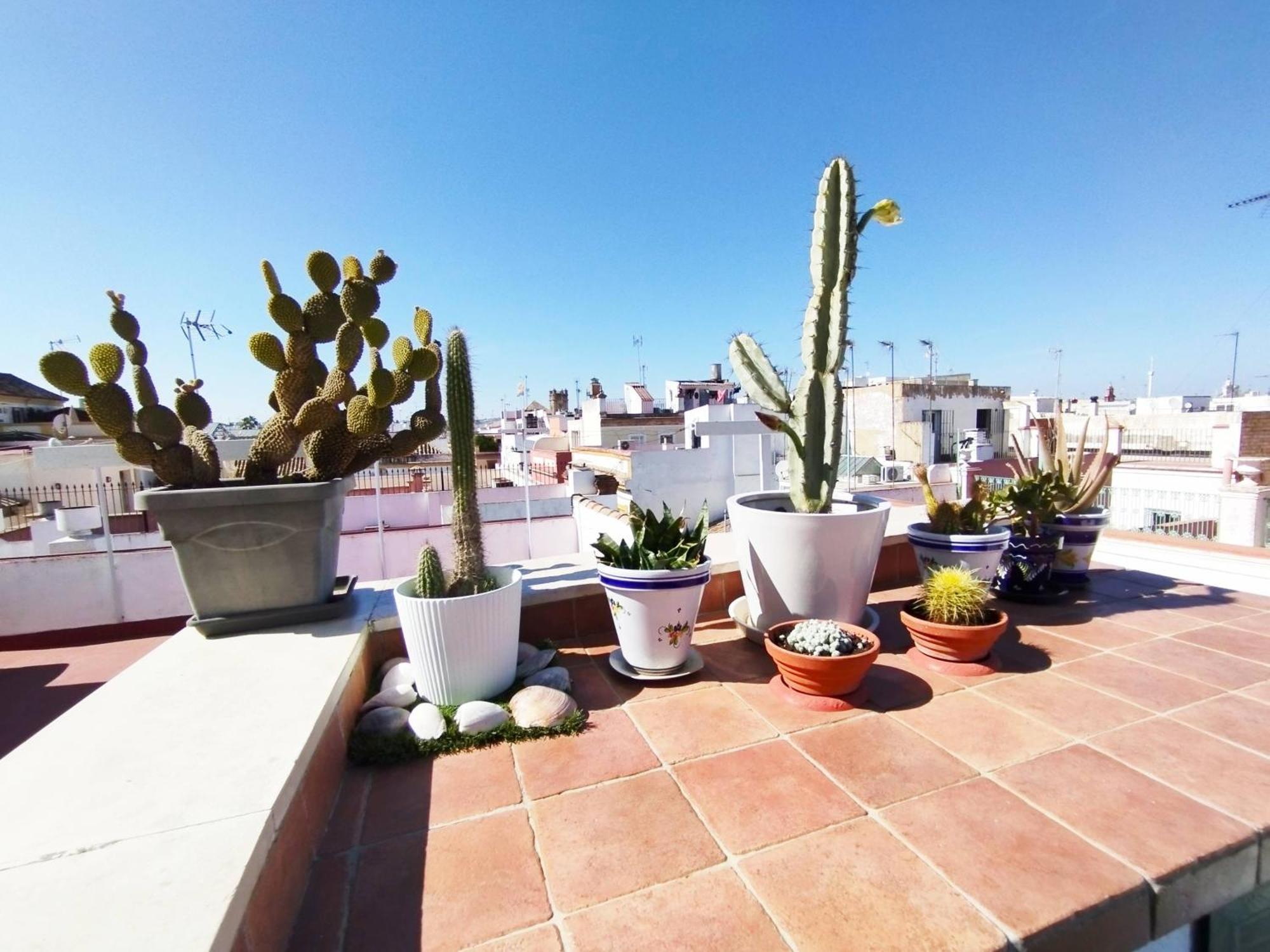 Ferienwohnung Casa Gavidia - Duplex With Panoramic View Sevilla Exterior foto